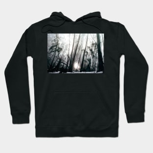 A foggy morning on Mount Buffalo Hoodie